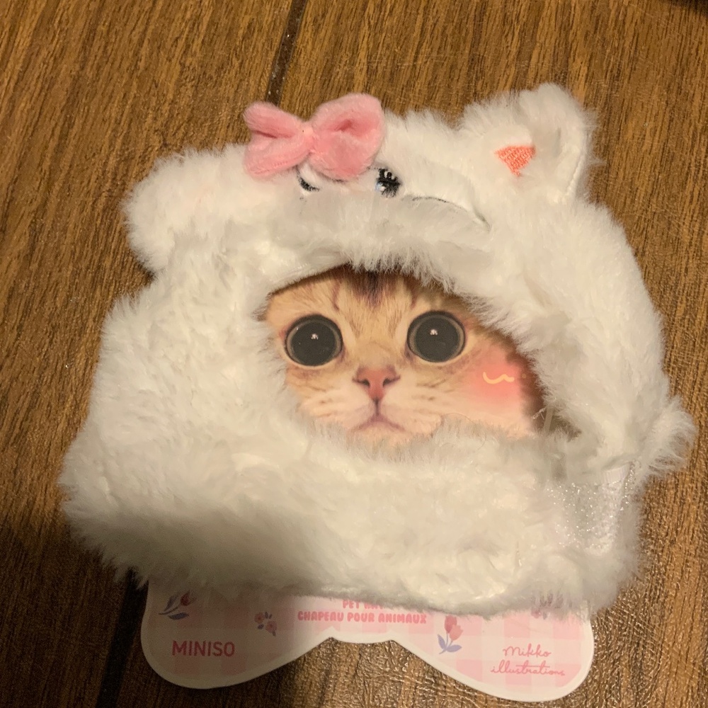 White cat hat